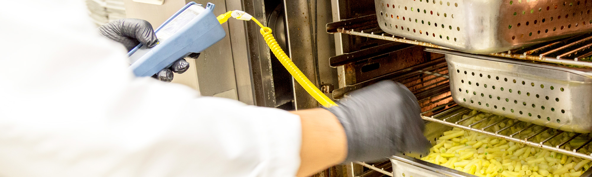 Food safety temperature inspection using a digital thermometer in a commercial warming cabinet